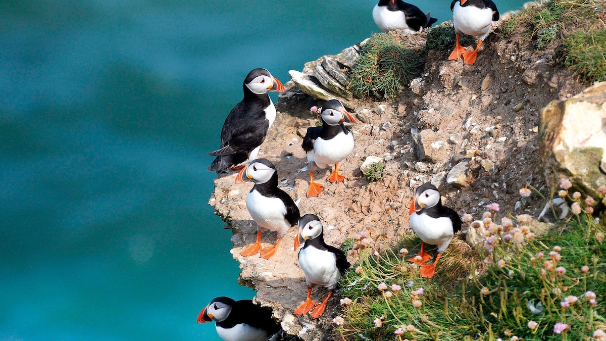 1821-7-birdwatching-journeys-all-over-the-world-for-budding-lovers.jpg