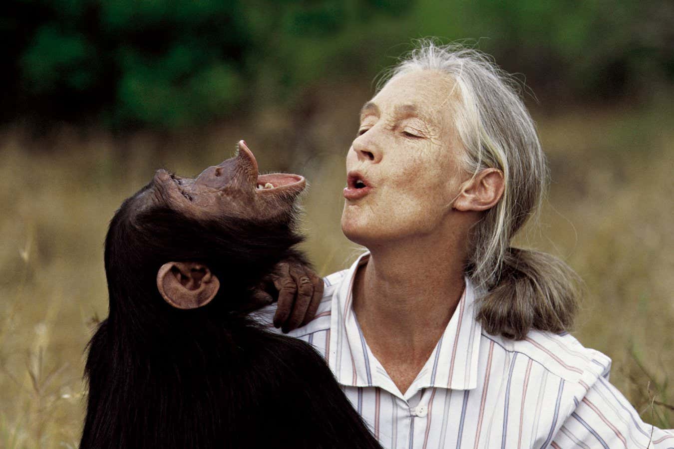 1827-how-jane-goodall-altered-the-method-we-see-animals.jpg