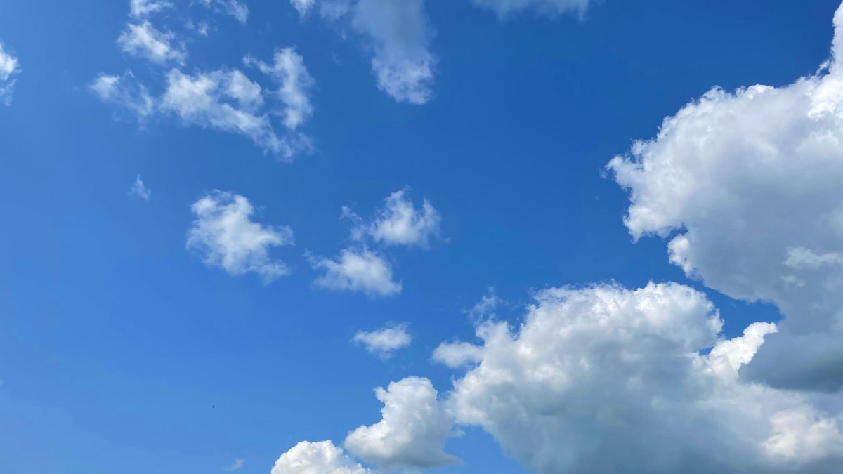 1847-waffles-consume-bluesky.jpg